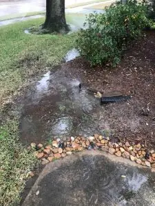 sprinkler head leaking